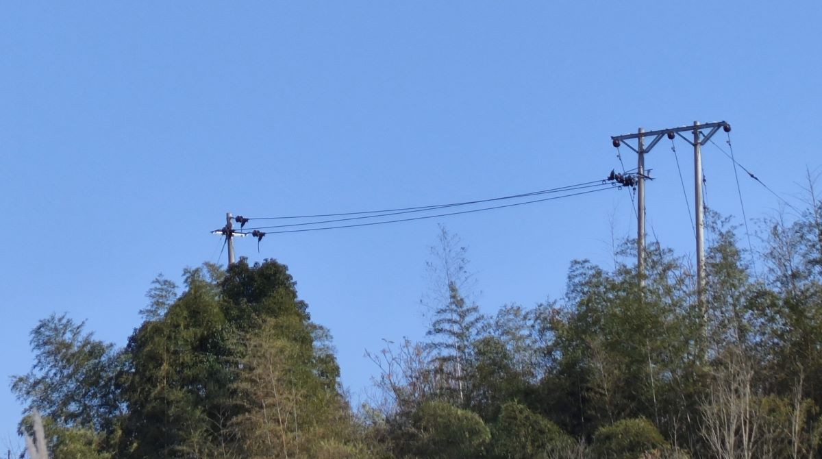 Applications of insulators Applications of insulators